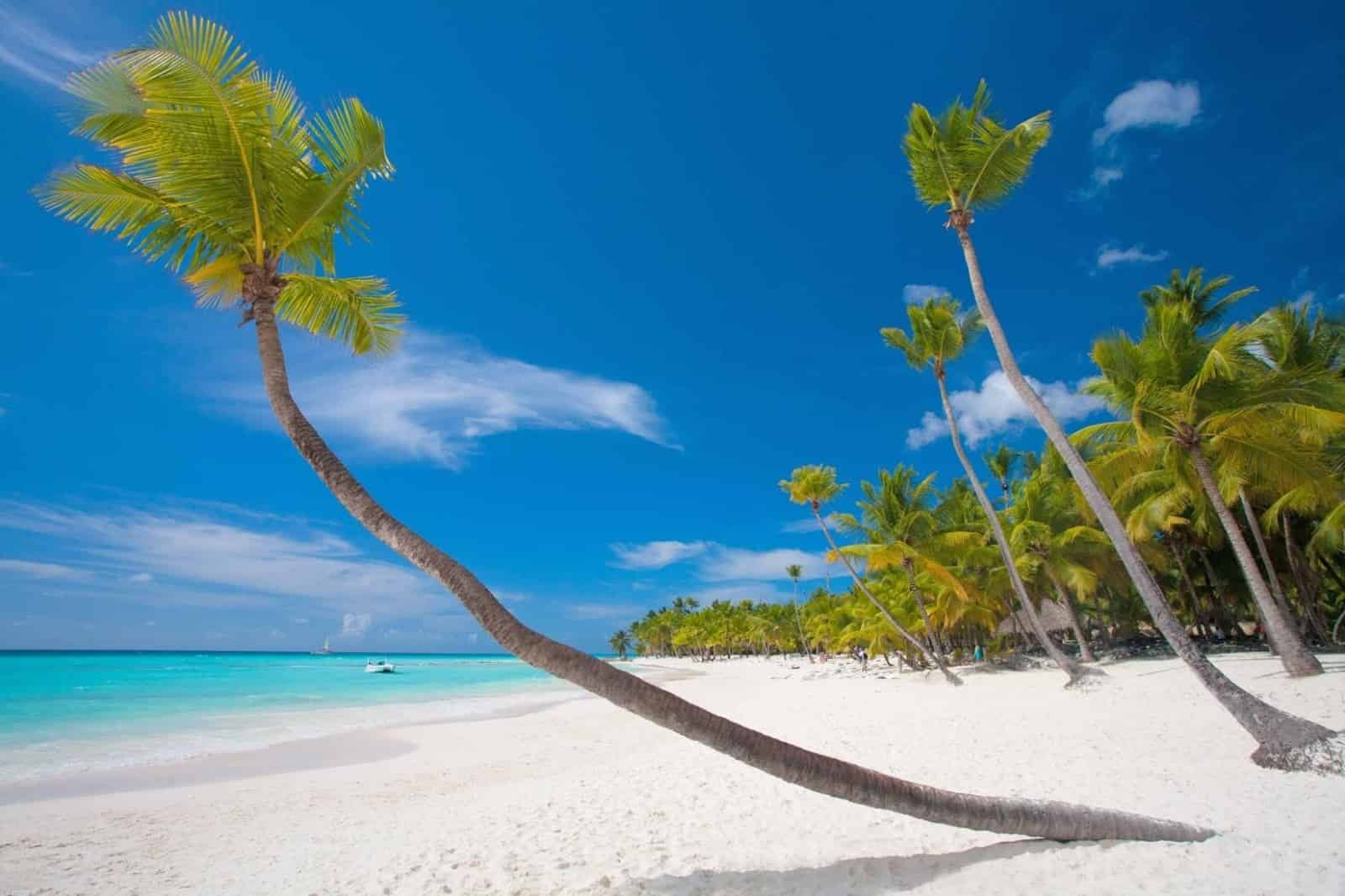 Snorkeling in Zanzibar - Where to go Snorkeling in Zanzibar Best spots to go snorkeling in Zanzibar, Tanzania