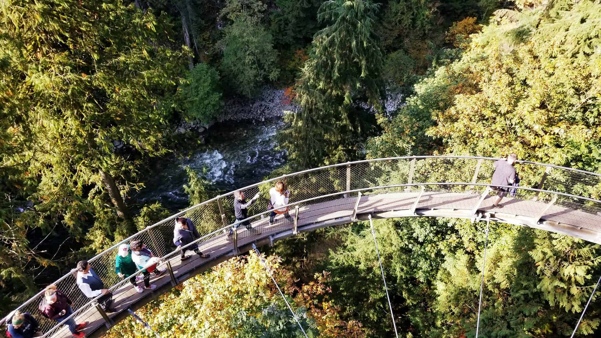 things to do in vancouver on a rainy day - Things to Do in Vancouver on a Rainy Day Capilano Suspension Park, "Cliff Walk" in Vancouver