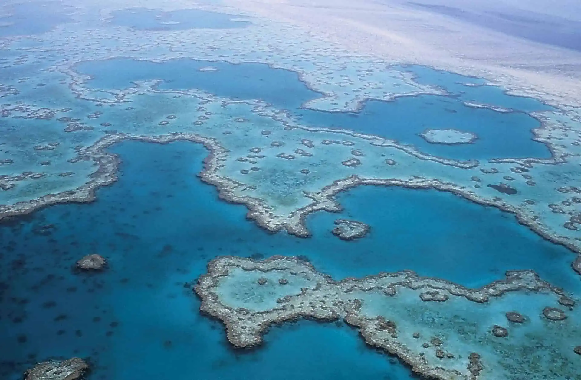 australian wine - Down Under and Uncorked: Exploring Australian Wine and Travel Treasures Great Barrier Reef in at the East coast of Australia.