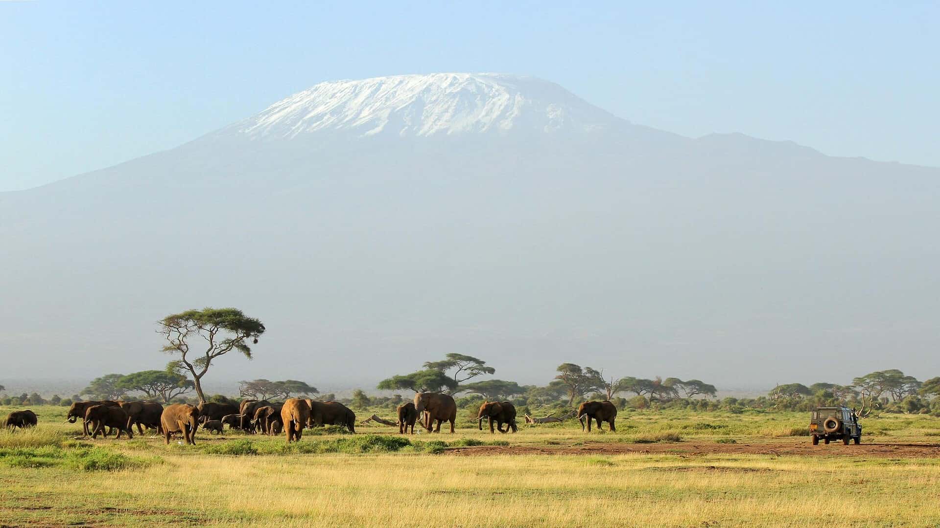 Safari in Tanzania