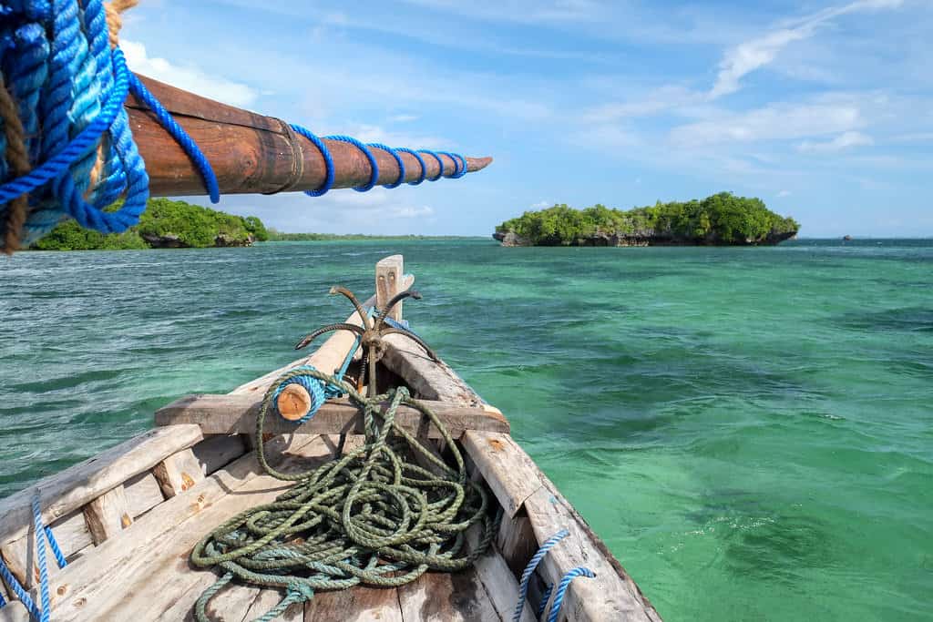 things to do in tanzania - Top 10 Things to Do in Tanzania Exploring Mafia Island Tanzania