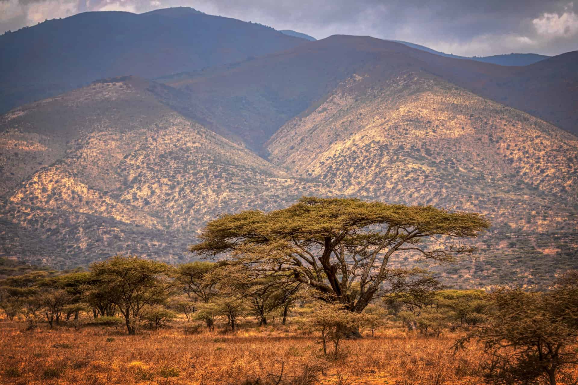 things to do in tanzania - Top 10 Things to Do in Tanzania Ngorongoro, Tanzania