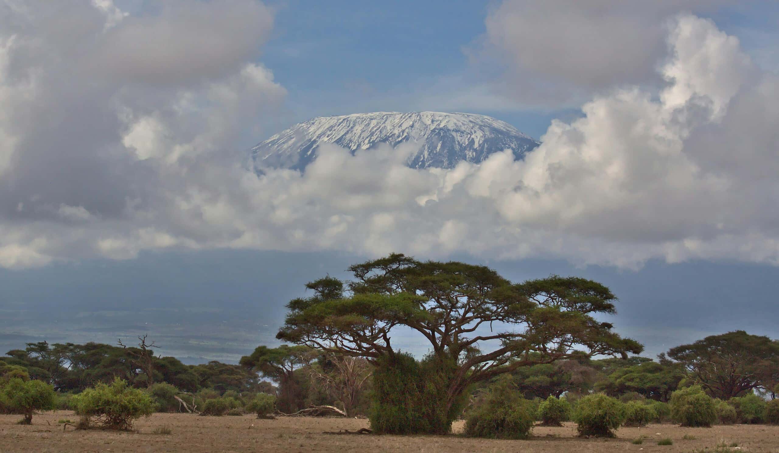 Climbing Mount Kilimanjaro, Tanzania