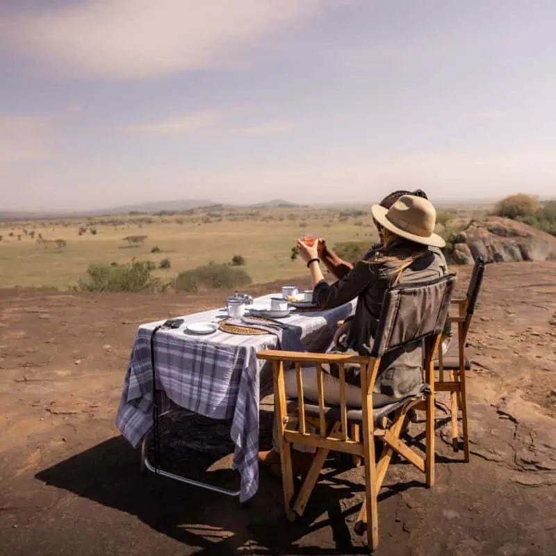 Best Time to Visit Serengeti National Park - Best Time to Visit Serengeti National Park Enjoy a picnic in Serengeti style.
