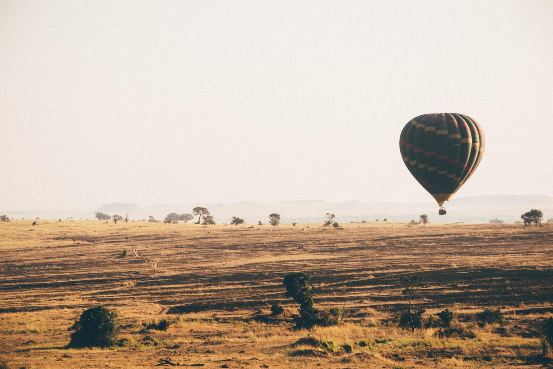 things to do in tanzania - Top 10 Things to Do in Tanzania Serengeti, Tanzania