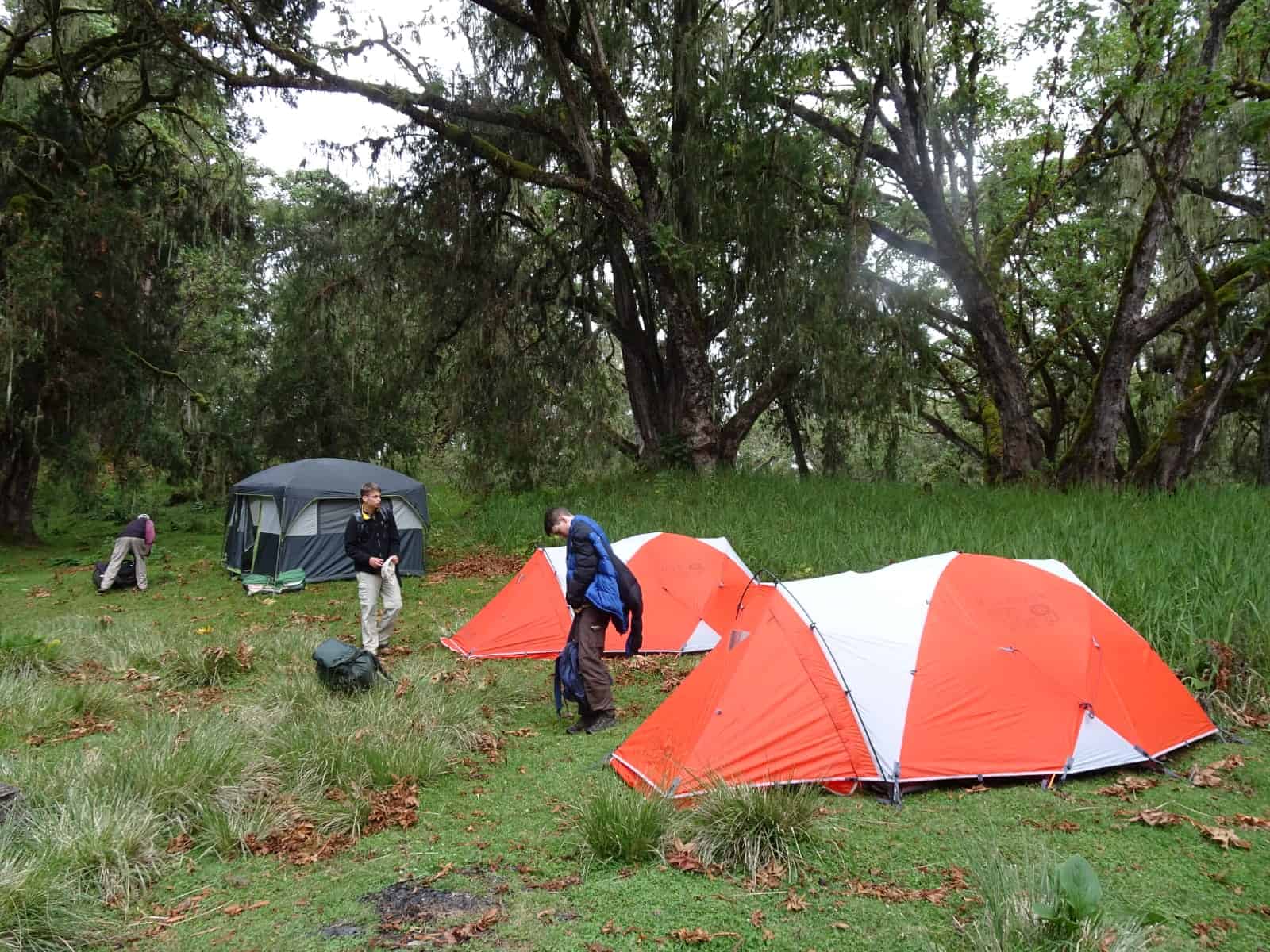 Tents when hiking Mount Kenya.