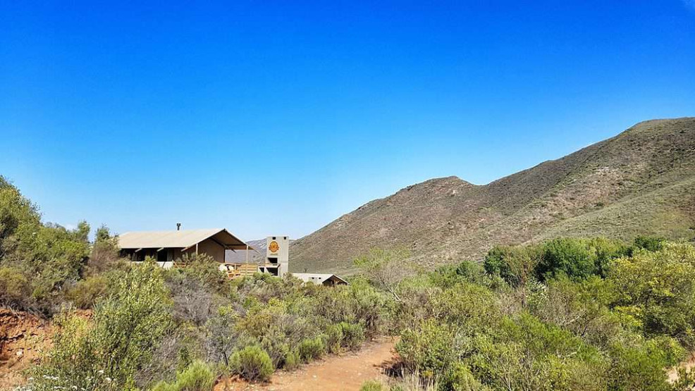 Glamping at AfriCamps Pat Busch, South Africa