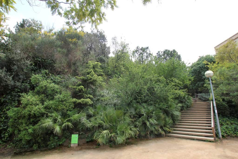 Gardens in Barcelona - The Hidden Gardens in Barcelona You Must Visit