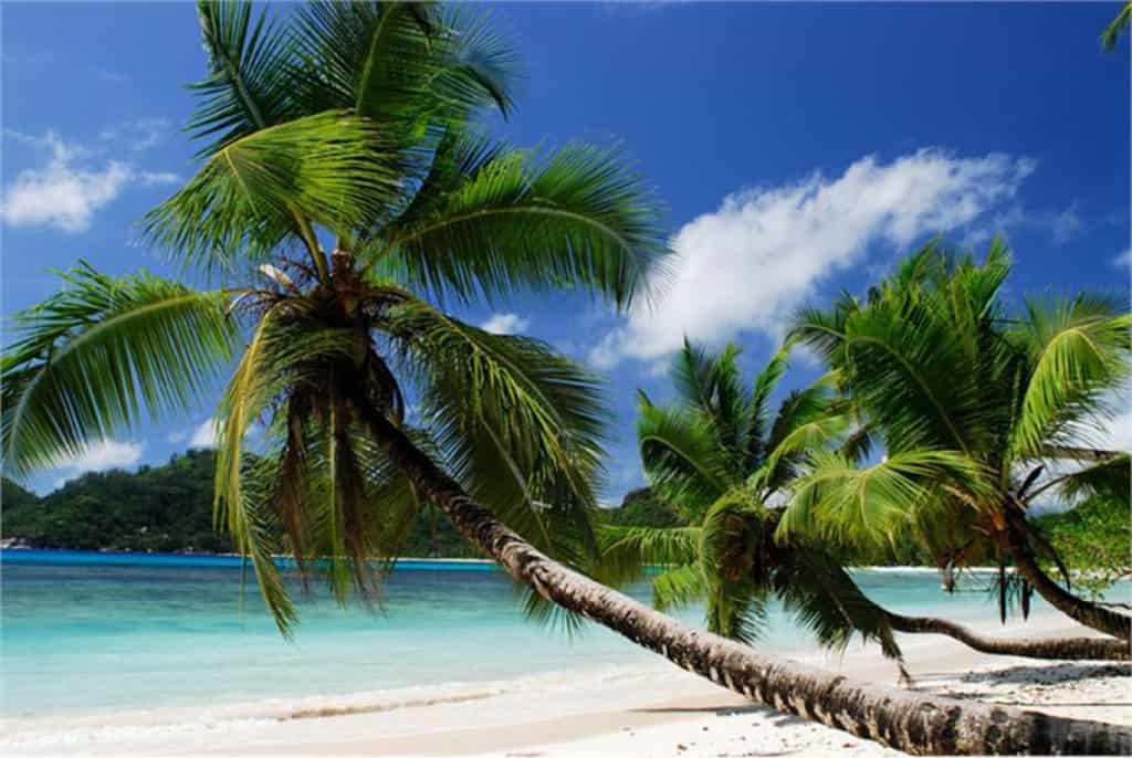 things to do in the seychelles - Top Things to do in the Seychelles Things to do in the Seychelles