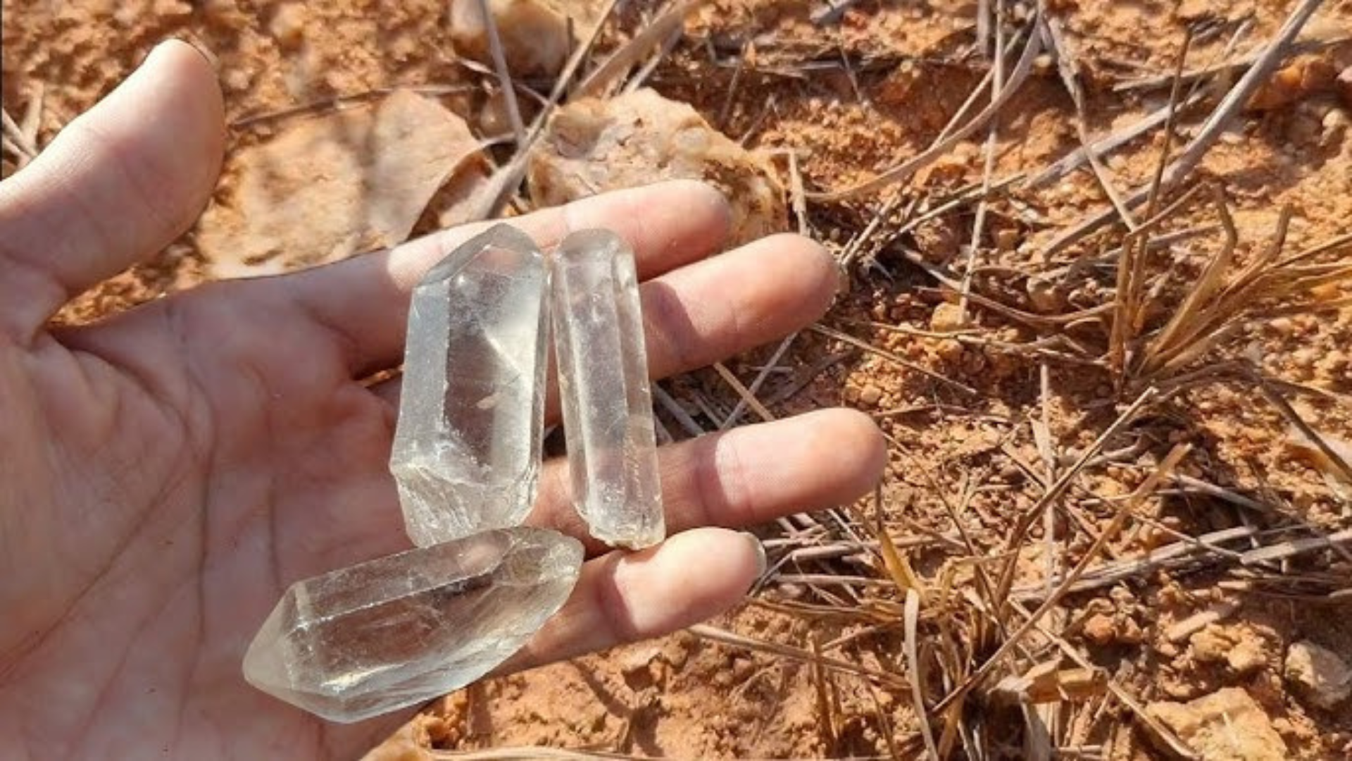 Alto Paraíso - Alto Paraíso, Brazil: Gateway to Chapada dos Veadeiros Hand holding three clear quartz crystals on soil.