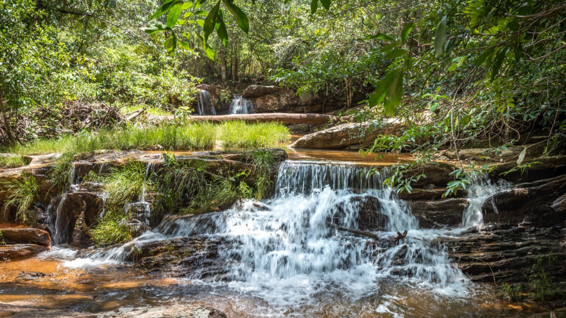 Alto Paraíso - Alto Paraíso, Brazil: Gateway to Chapada dos Veadeiros A serene waterfall cascading over rocky terrain in lush greenery.